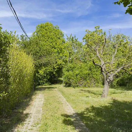 Oereghegy Kis Haz By Interhome بيت للعطل Kőröshegy
